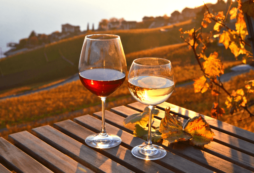 Your Autumn Drinks guide - Sans Drinks