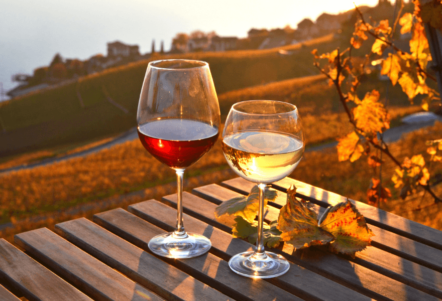Two glasses of non-alcoholic wine at a winery 
