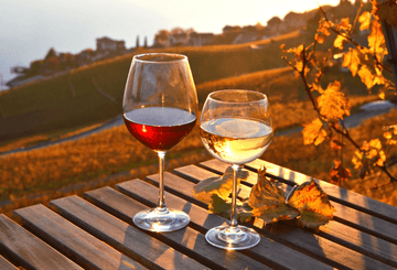 Two glasses of non-alcoholic wine at a winery  Sans Drinks