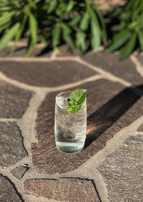 Gin mocktail in a glass filled ice and garnished with bay leaves