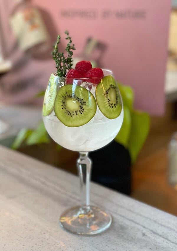 Gin and Tonic mocktail made with seed non-alcoholic spirit and garnished with kiwi fruit Sans Drinks