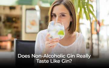 Does Non-Alcoholic Gin Really Taste Like Gin? Sans Drinks