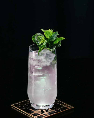 Tom collins gin mocktail in a tall glass filled with ice and garnished with mint leaves