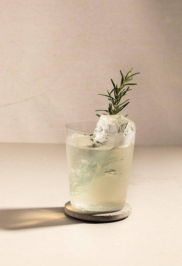 Non-alcoholic gin mocktail made with Ovant Verve and garnished with a rosemary sprig