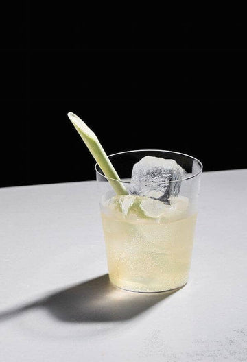 Gin mocktail in a glass filled with ice and garnished with a lemongrass stalk Sans Drinks