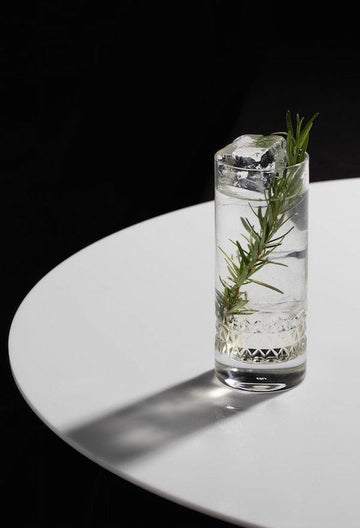 Non-alcoholic gin fizz garnished with rosemary sprig and made with Ovant verve