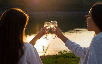 No Alcohol White Wine Sans Drinks