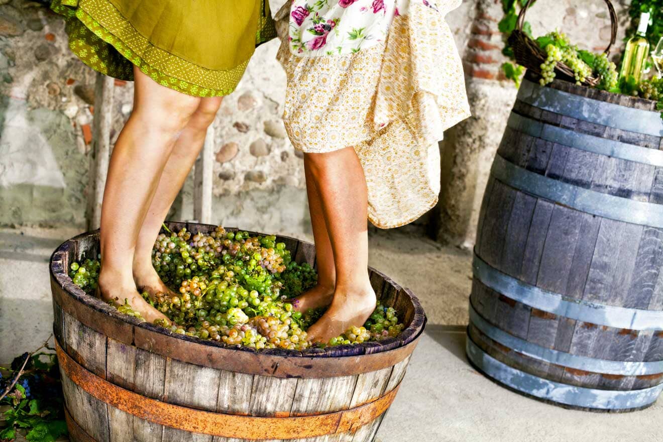 2 women barefoot stomping on grapes to make wine