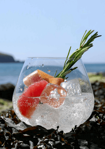 Gin mocktail garnished with grapefruit and sprigs of rosemary