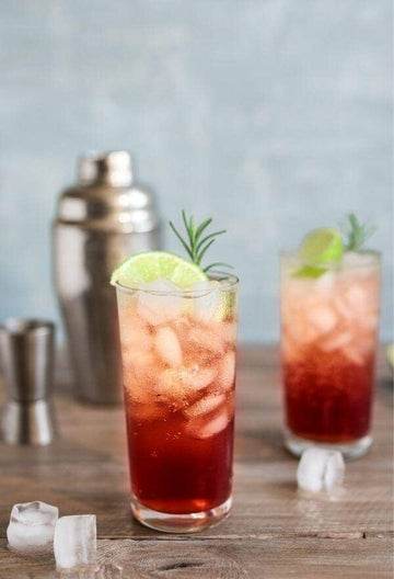 Bitter Tonic & Shiraz Gin Mocktail in a tall glass filled with ice and garnished with a lime wedge Sans Drinks