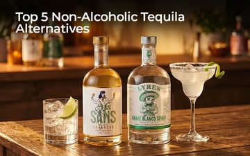 Top 5 Non-Alcoholic Tequilas (2026 Taste-Tested & Reviewed) Sans Drinks