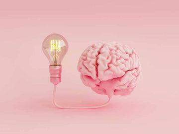 A pink brain attached to a light bulb Sans Drinks