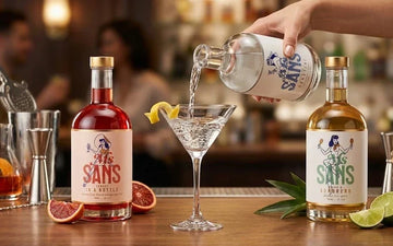 Are Non-Alcoholic Spirits Over $30 Worth It? Sans Drinks