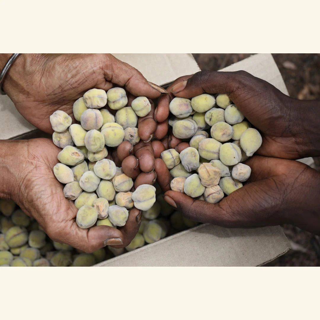 Buy ALTD Kakadu An-Marabula Native Peach Bellini - Sans Drinks