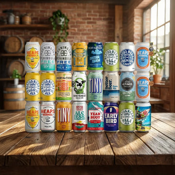 Buy Dry January Non-Alcoholic Beer Box (24 Pack) - Sans Drinks Sans Drinks