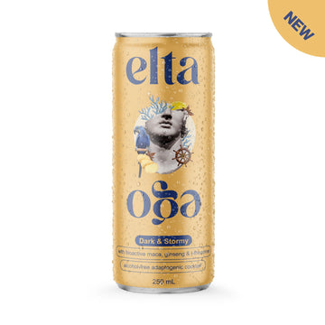 Elta Ego Alcohol Free Cocktail Dark & Stormy