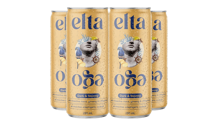 Buy Elta Ego Alcohol Free Cocktail Dark & Stormy - Sans Drinks