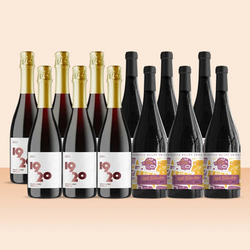Buy Premium Non-Alcoholic Shiraz Duo – 12 Pack - Sans Drinks Sans Drinks