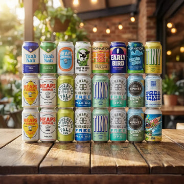 Sans Drinks Seasonal Non-Alcoholic Beer Box (24 Pack)