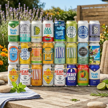 Buy Sans Drinks Seasonal Non-Alcoholic Beer Box (24 Pack) - Sans Drinks Sans Drinks