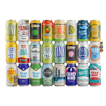 Buy Sans Drinks Seasonal Non-Alcoholic Beer Box (24 Pack) - Sans Drinks Sans Drinks