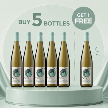 Buy Zeitgeist Riesling - Sans Drinks Sans Drinks
