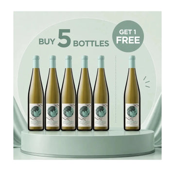 Buy Zeitgeist Riesling - Sans Drinks Sans Drinks