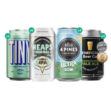 Buy Chill Pill Beer Bundle - 18 Cans - Sans Drinks Sans Drinks