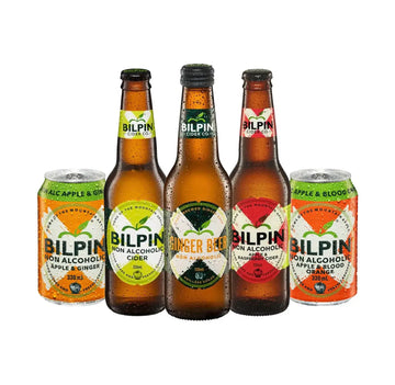 Buy Bilpin Fruit & Spice Cider 5 Pack - Sans Drinks Sans Drinks