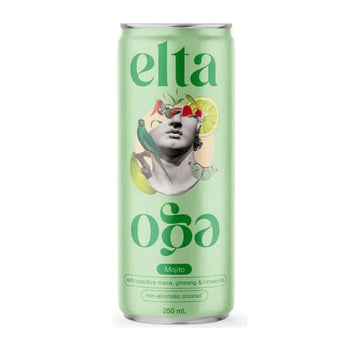 Buy Elta Ego Alcohol Free Cocktail Mojito - Sans Drinks Sans Drinks