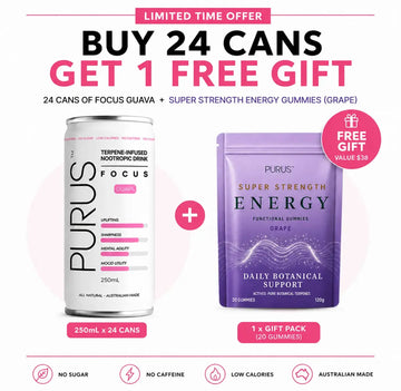 Buy Purus Focus Guava - Sans Drinks Sans Drinks